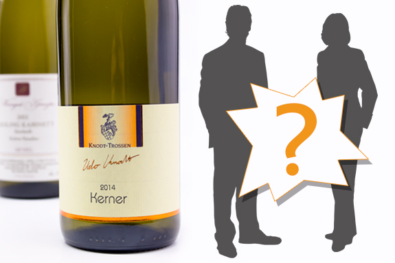 Vinogalerie