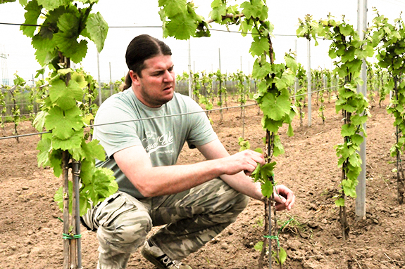 Vinogalerie