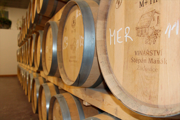 Vinogalerie