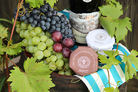 Vinogalerie