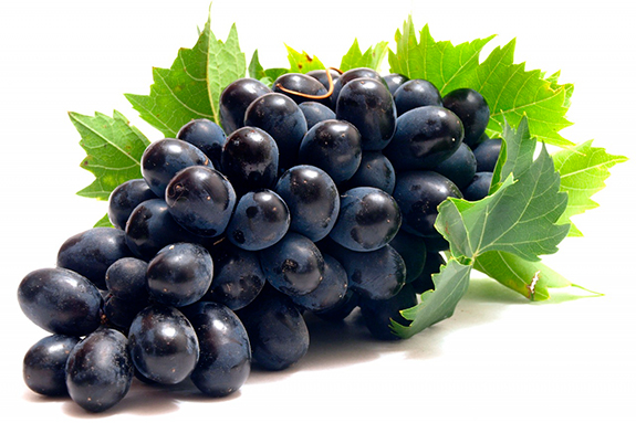 Vinogalerie